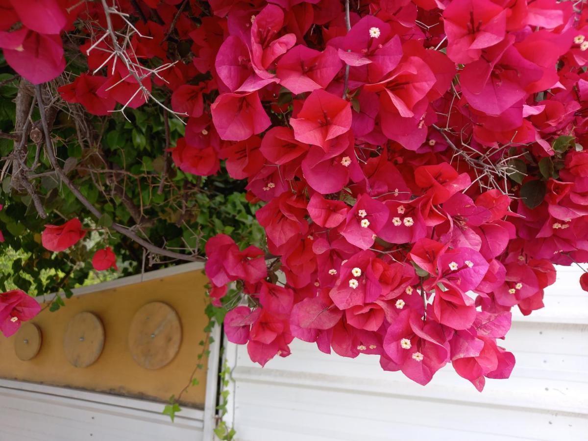 Luxury Loving Home โตโล ภายนอก รูปภาพ